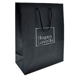 Picture of Black Matte Gift Bag without Tissue Paper